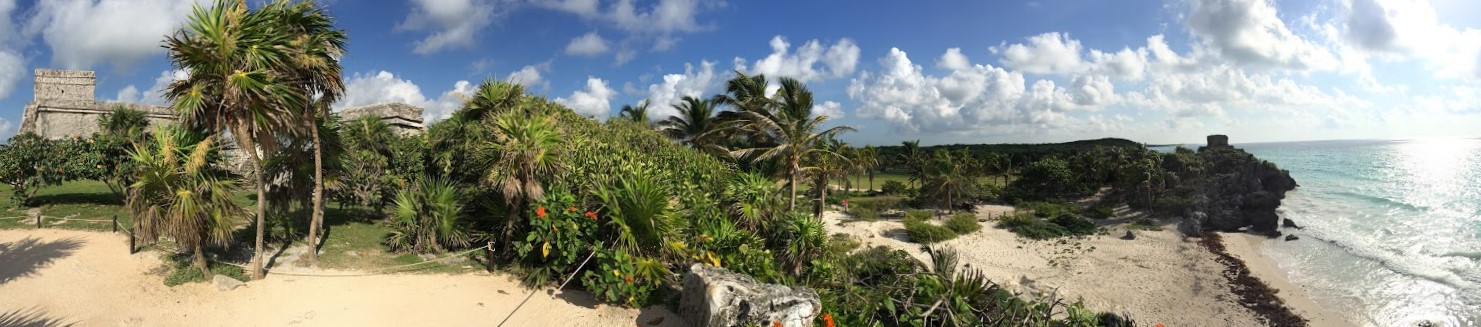 ��� �����