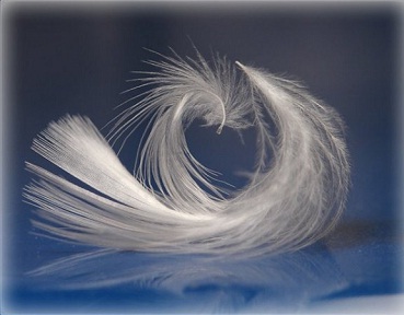 ���� �����