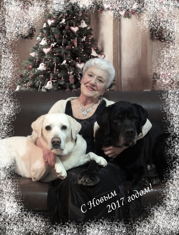 ���� �������