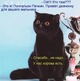 �������� ��� ��������