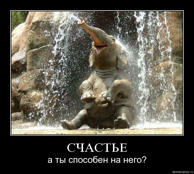 ���� ����