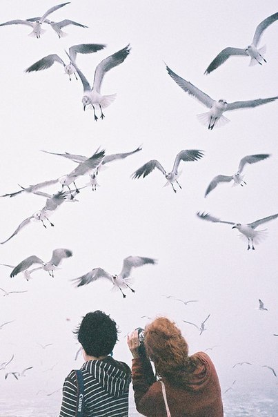 Ирен Сандерс