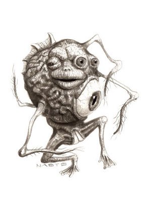 ����� �����