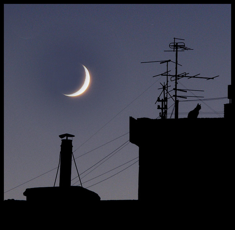 Гладких Николай