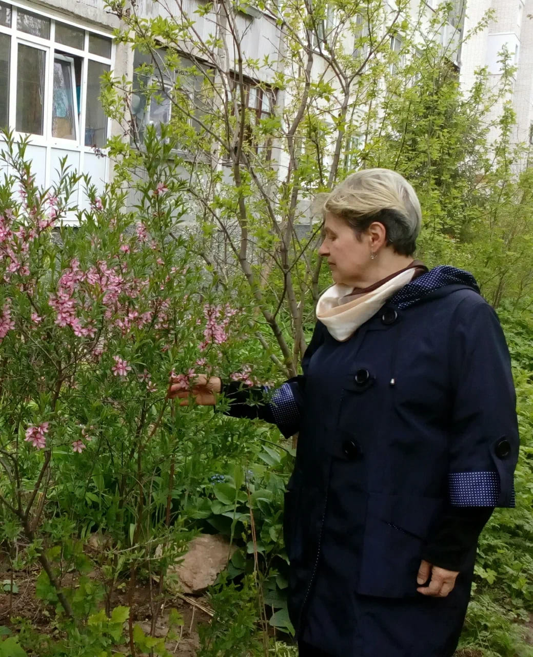 ������ 1