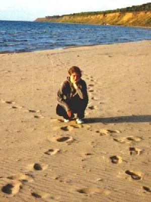 ���������