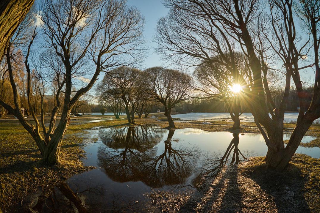 Ирина Рудзите 2