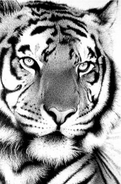 ����� ���-�����