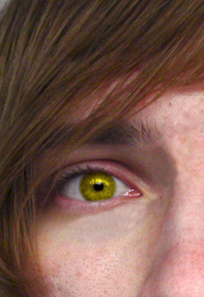 Роман Ланский