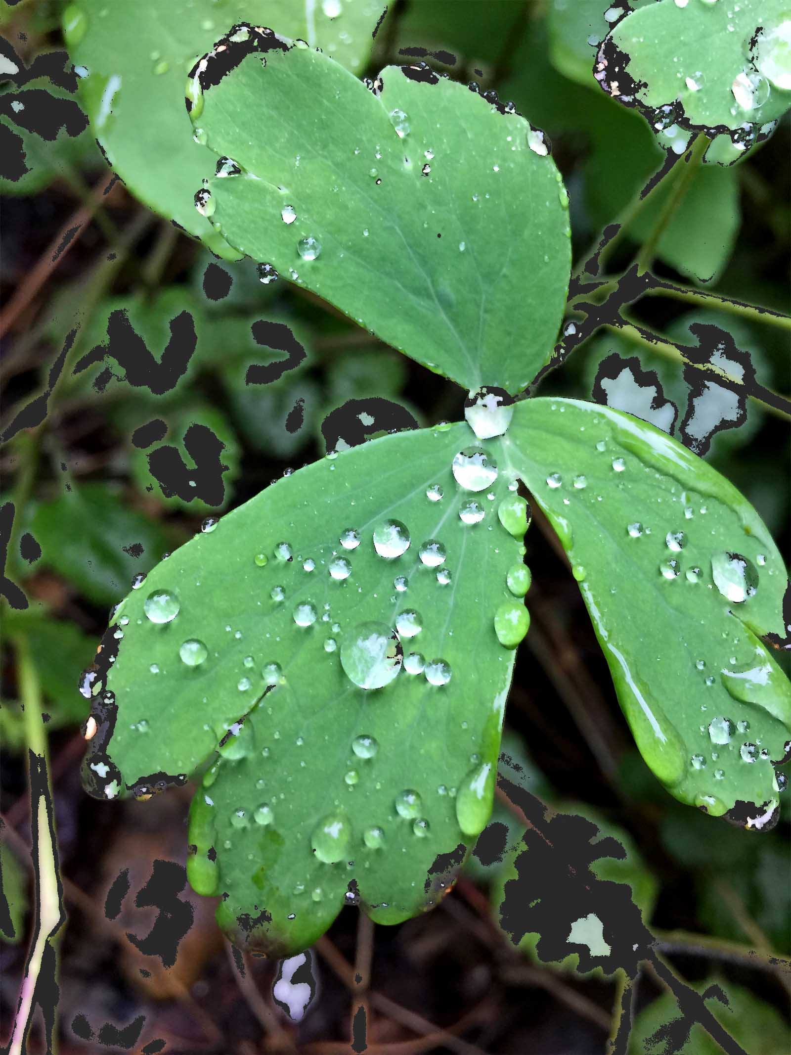 ��������� ��������