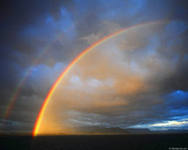 Ольга Гуляева 2