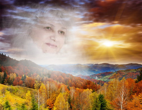 ������� ���������