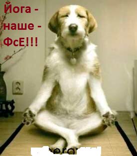 Роза Комисарова