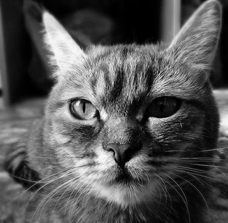 ���������� ������� 2