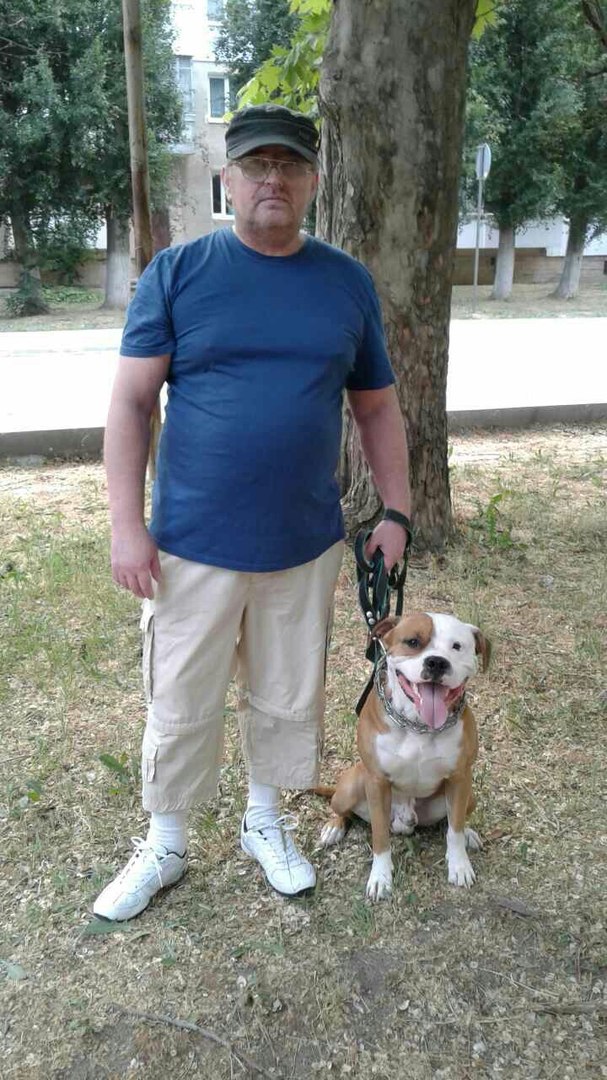 ������ ������