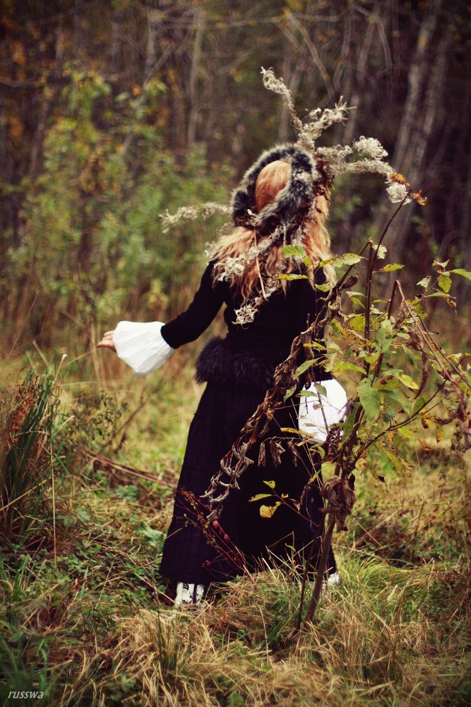 ��� ���������