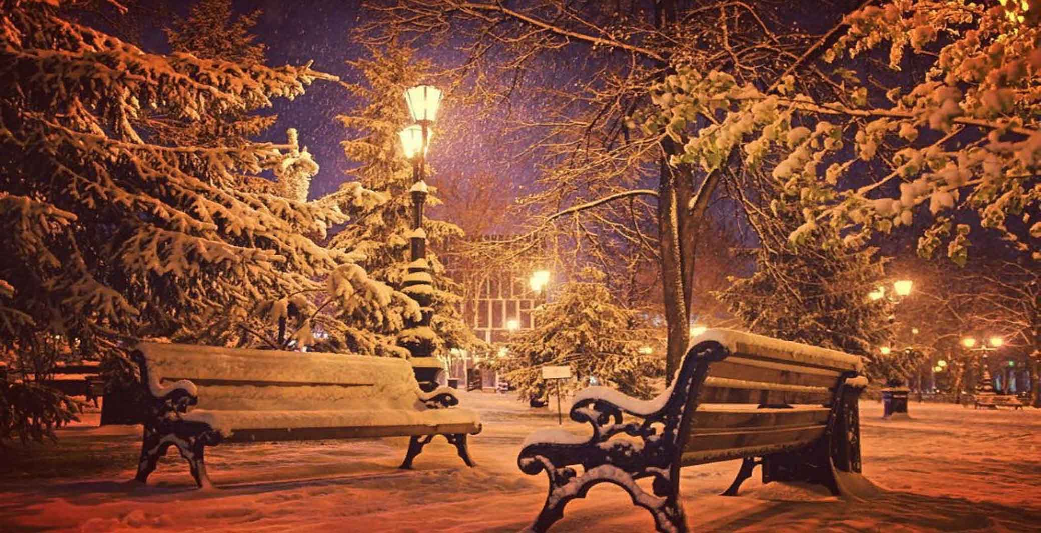 ���� ����