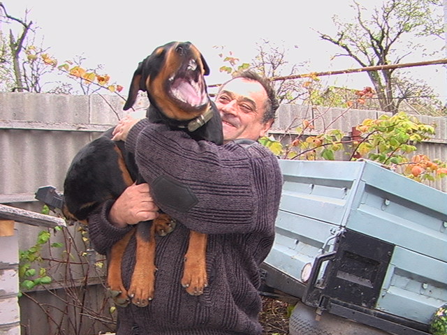 ����� �����