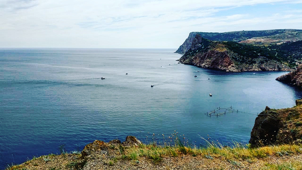 Халенева Маргарита Дмитриевна