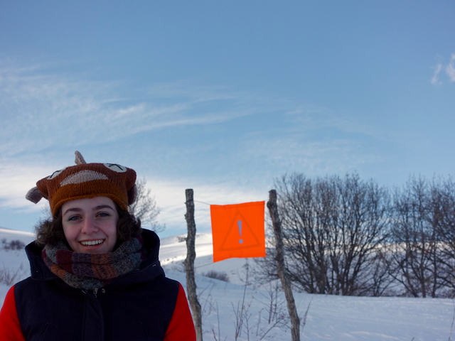 ������ �������