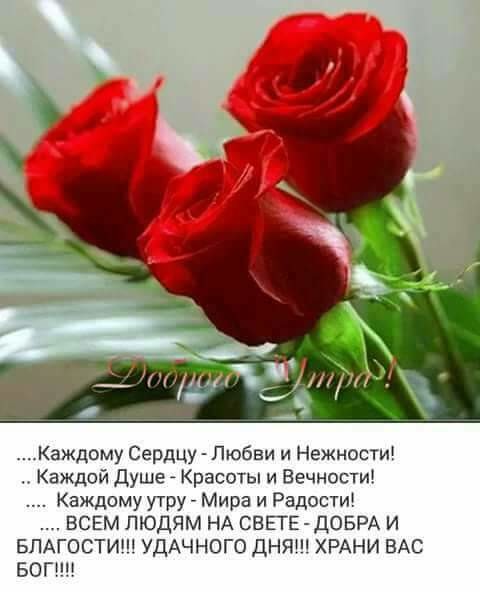 ����� ��������� 3