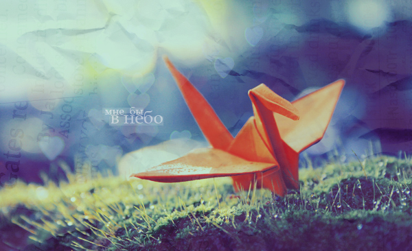 ��������� �����