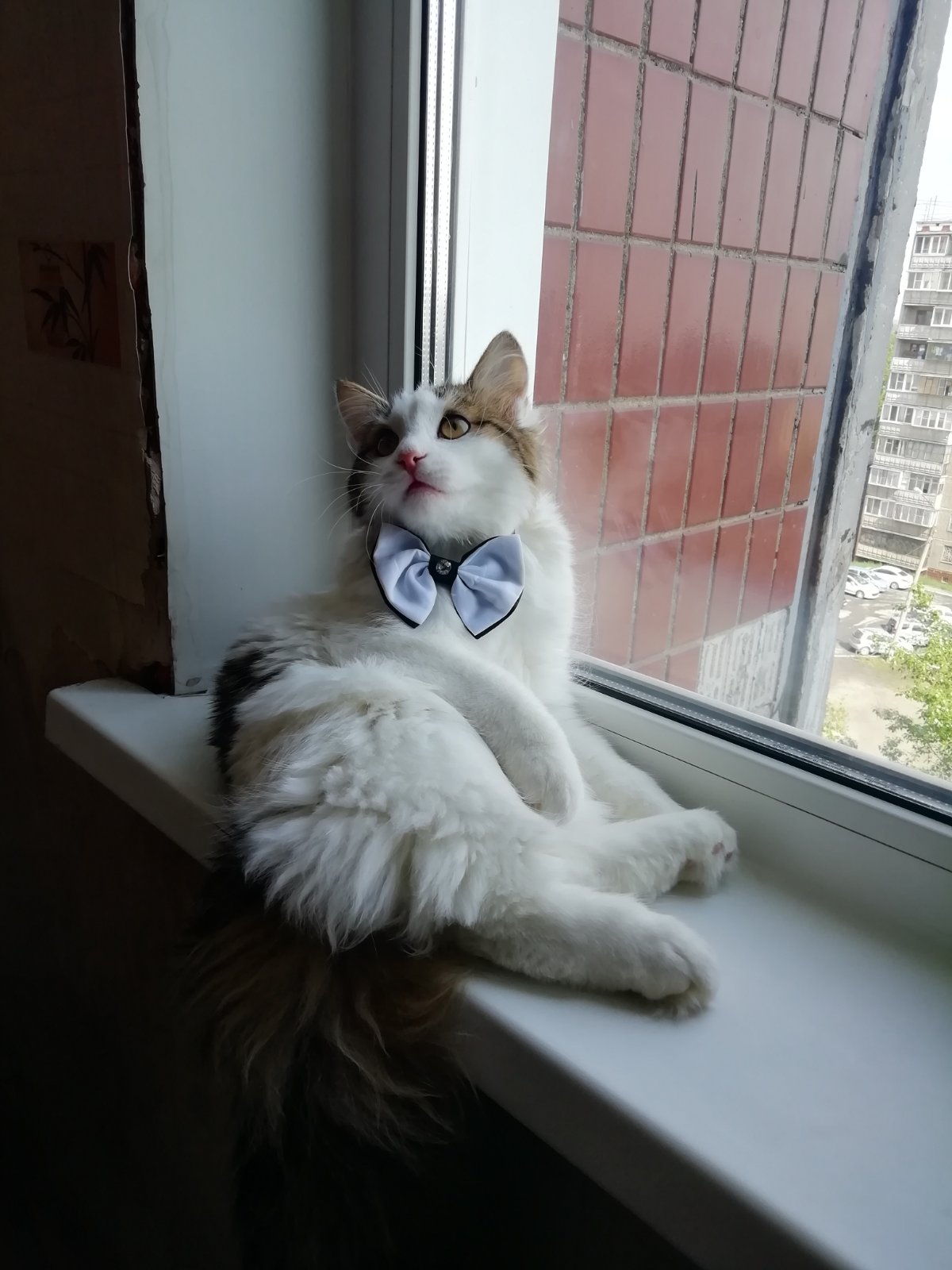 Ольга Садкова