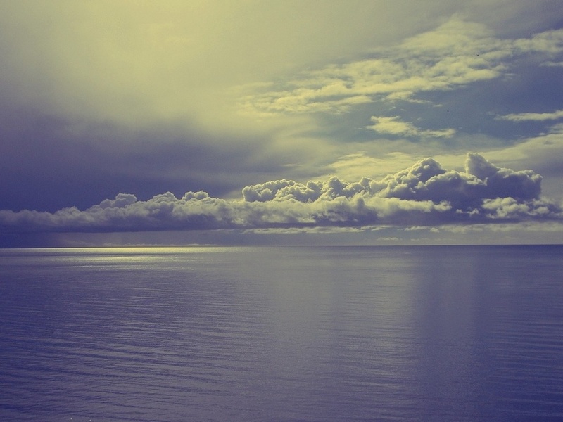 ���� ��������