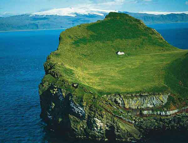 ����� ����