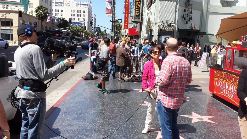 ���� ���������