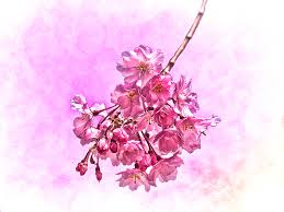 ������ ��������