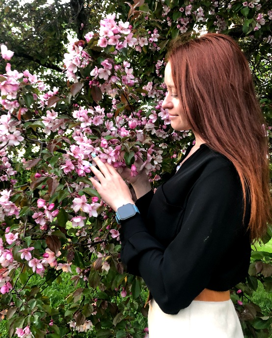 ���������� ����������