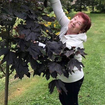 �������� ����