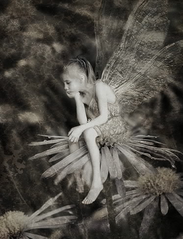 �� ��������