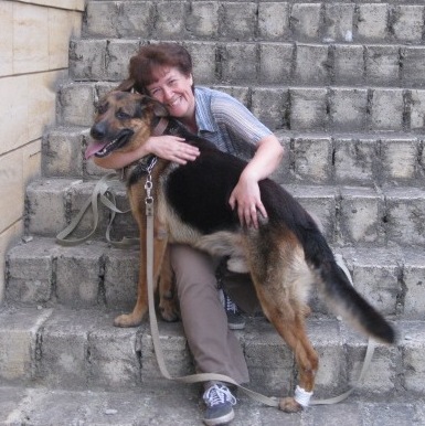 ���� �������