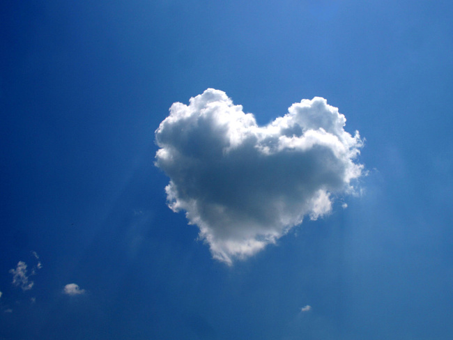 ���� ����������