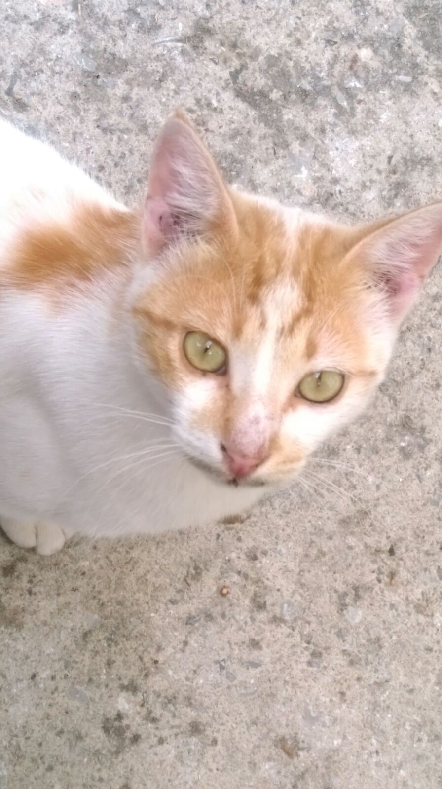 ������ ʸ��