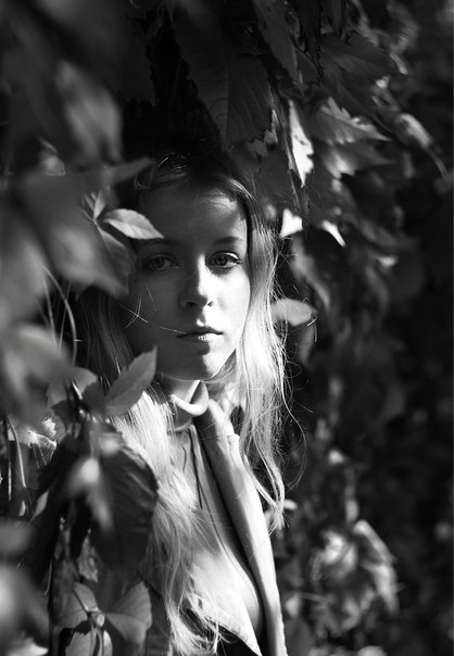 ������� �����