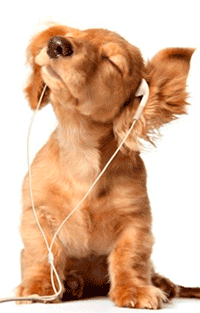 �������� �������� 2