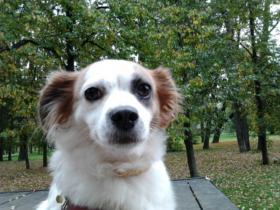 ���� �������