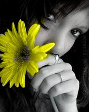 ����� �������