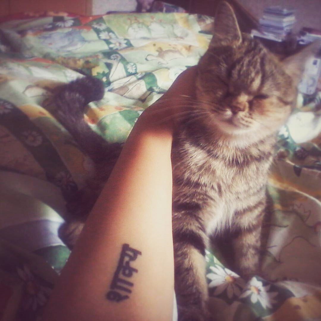 ������ ������