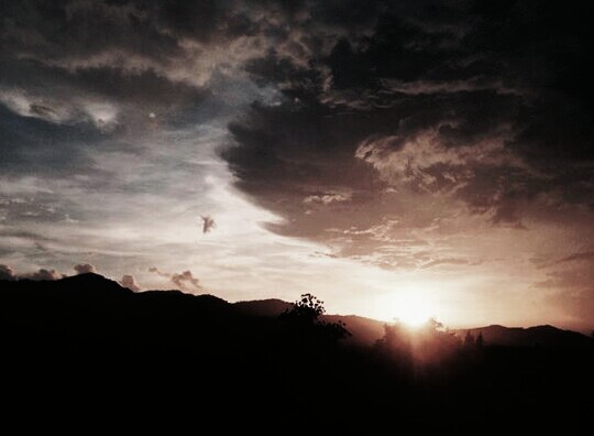 ���� �������