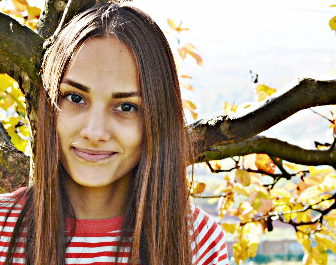 �������� ������