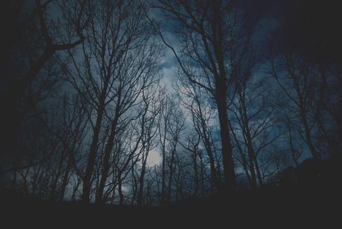 ����� ���������