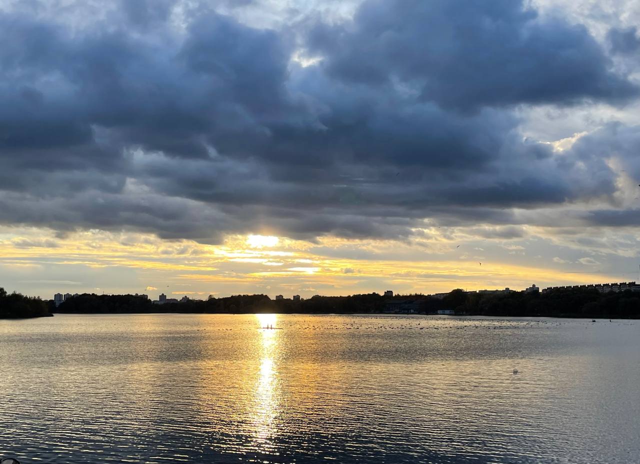 ������ ����������