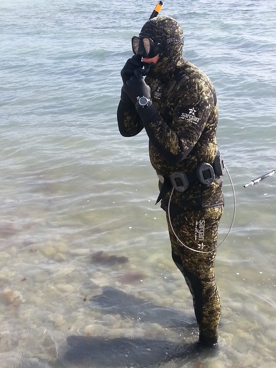 ��������� �������