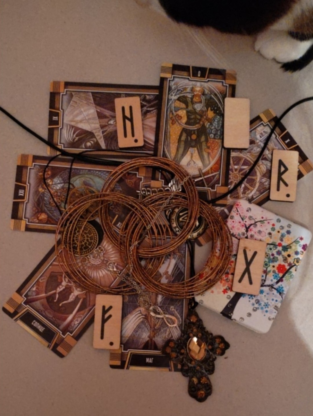 ���� �������