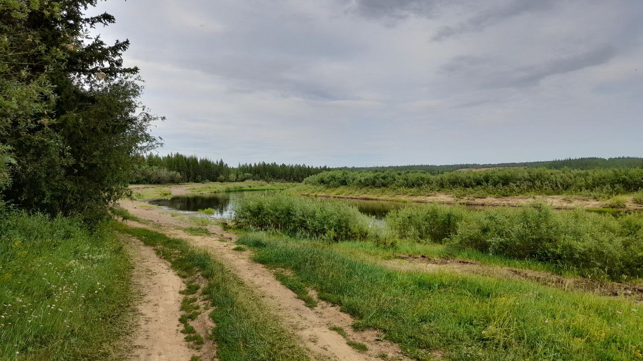 ������� ��������