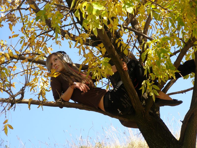 Каллерия Солнечная